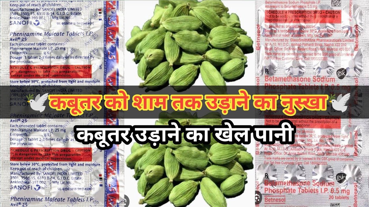 Avil 25 का जबरदस्त नुस्खा | कबूतर को उड़ाने के लिये पानीKabootar nuskha pani