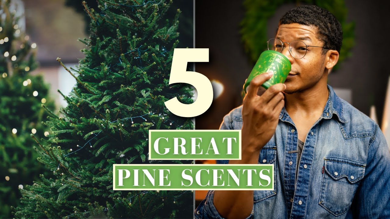 5 Great Pine Candles!  Green Goodness