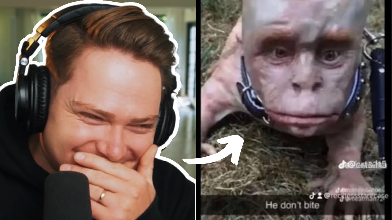 Trying to Not Laugh For 30 Days