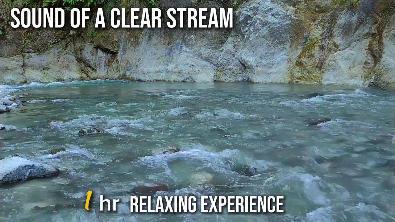 Sound Of a Clear Stream 🍃 Calm Nature Sounds for Focus & Rest