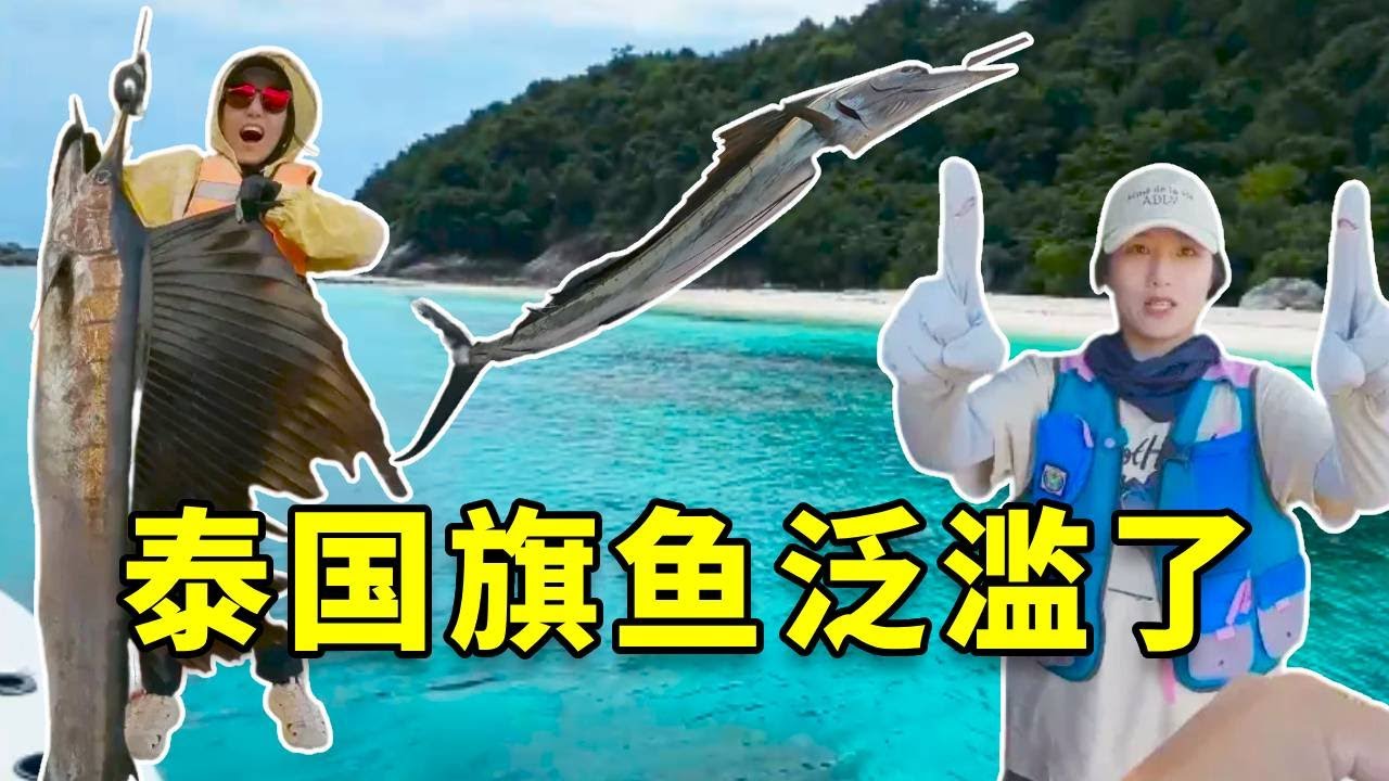 泰国无人岛旗鱼泛滥了，当着人的面跳水，鱼身比人还高！我发财的机会来了！ #钓鱼 #fishing #大豪夫妇