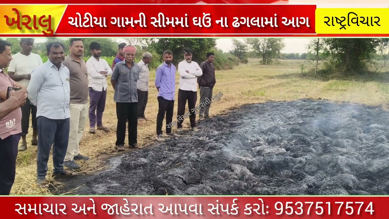 #ખેરાલુ ના ચોટીયા ગામે વીજ લાઈનમાં શોર્ટ સર્કિટથી આગ: ૨ વીઘાના તૈયાર ઘઉં બળીને રાખ