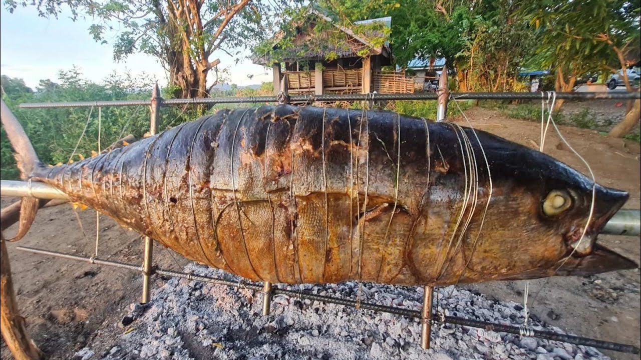 EP819-P2 - 45KG Tuna Lechon
