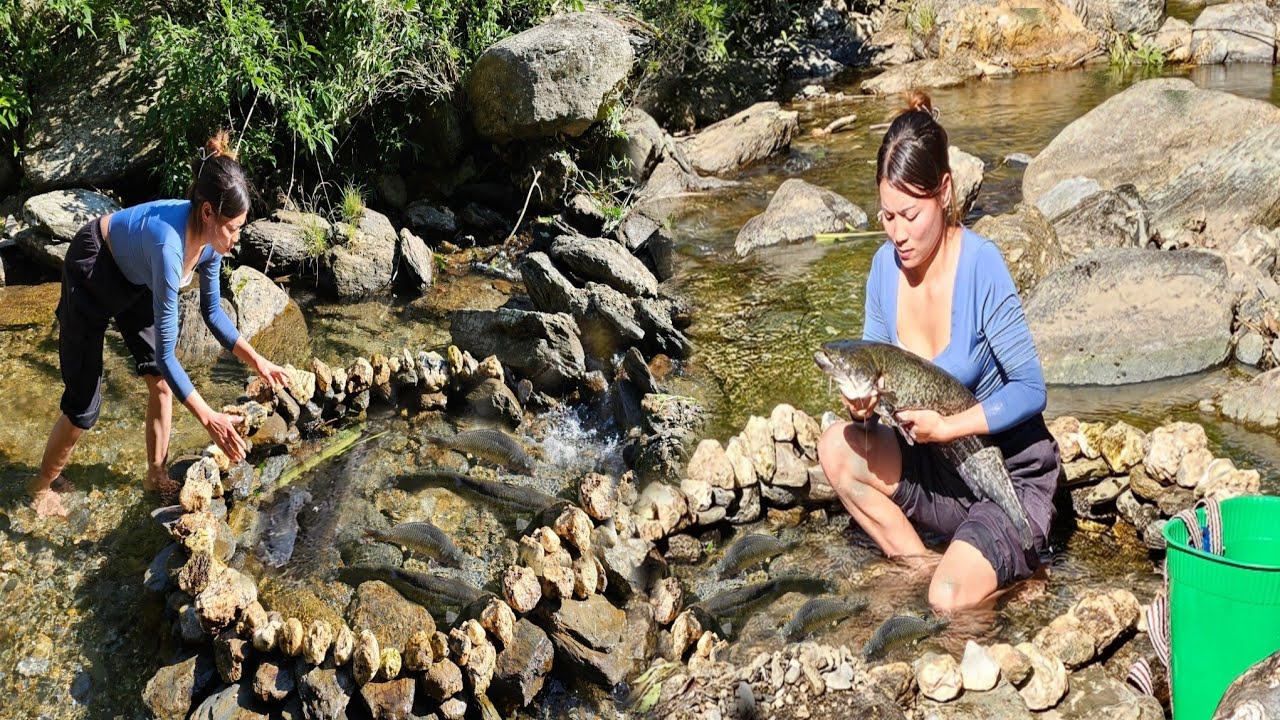 Challenge of catching giant stream fish using primitive fishing methods