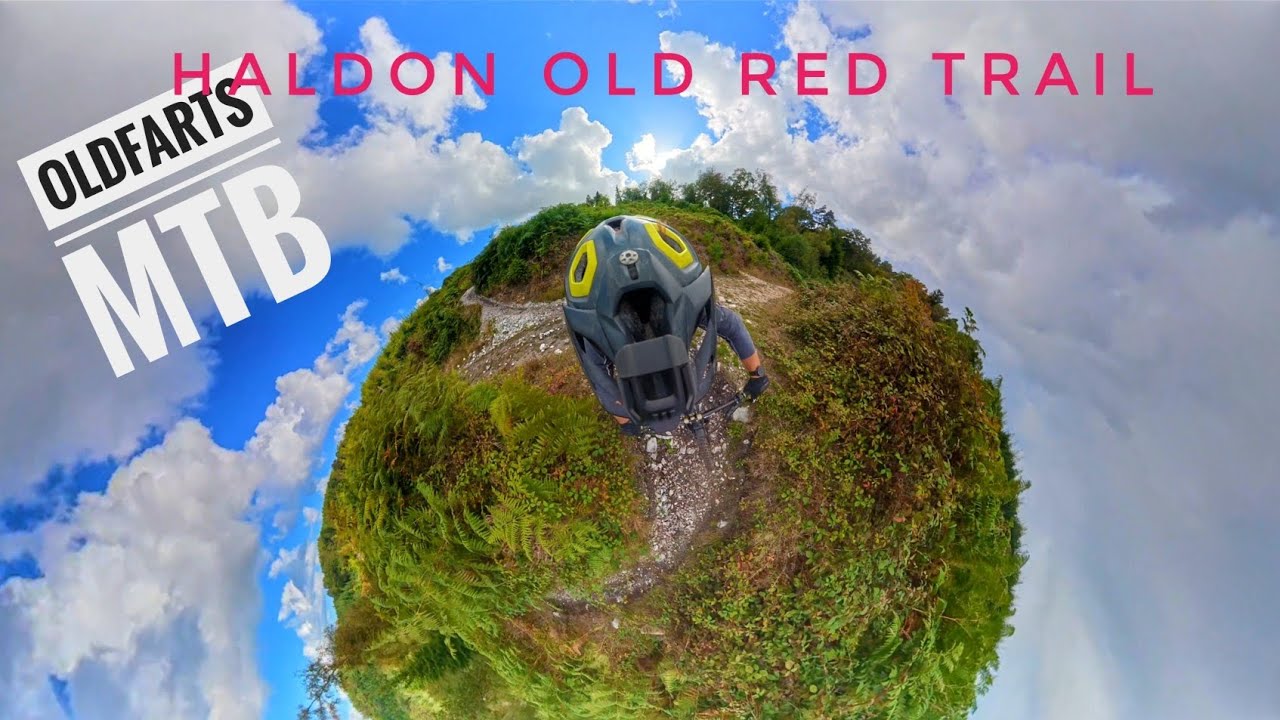 Haldon Forest Devon. Osmo 360 The old red trail 4k