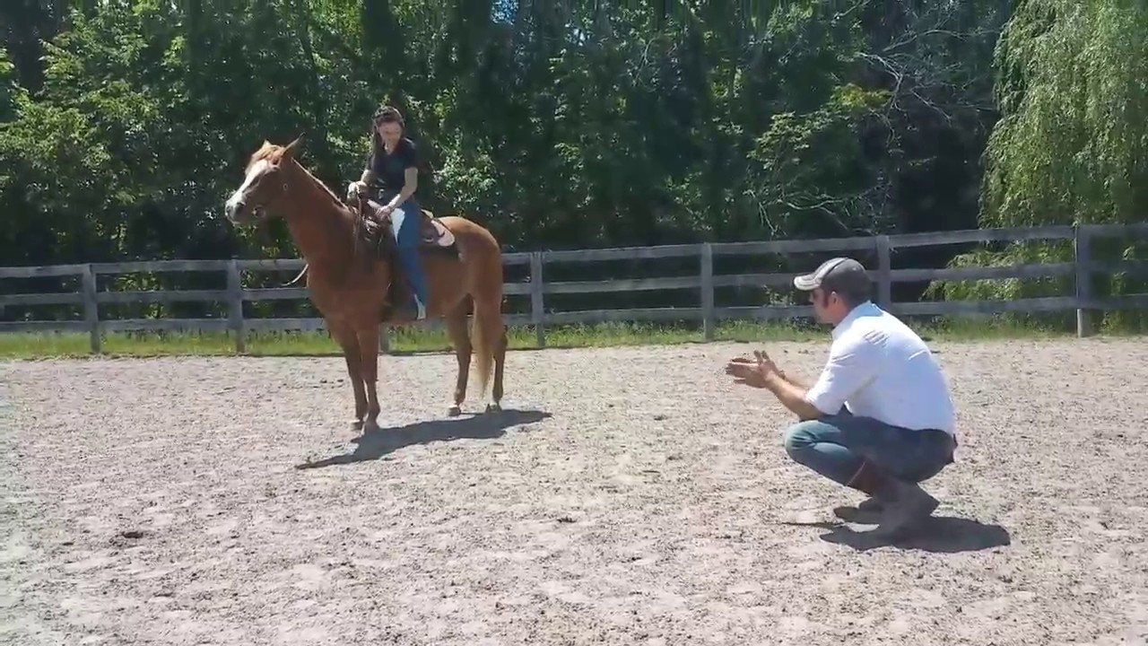 The balancing legs - diagonals - transitions