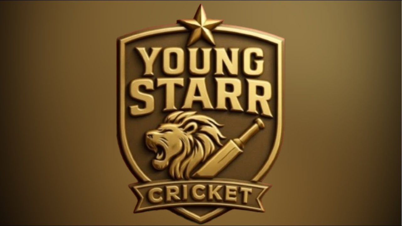 YOUNG STAR PREMIER LEAGUE D3
