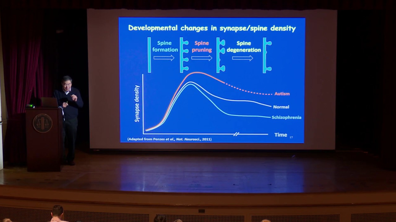 Mu-ming Poo, Chinese Academy of Sciences: Synaptic plasticity and brain-inspired machine learning
