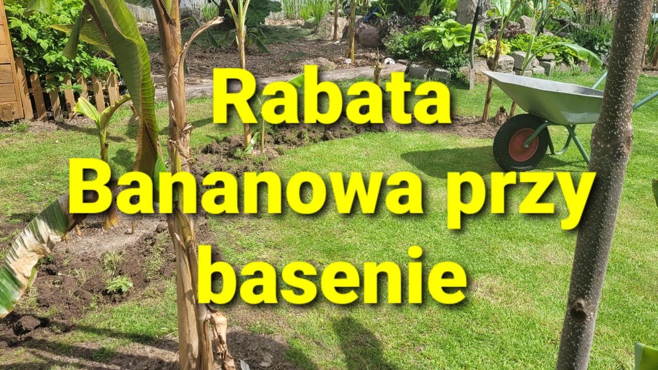 507#. Rabata Bananowa przy basenie.