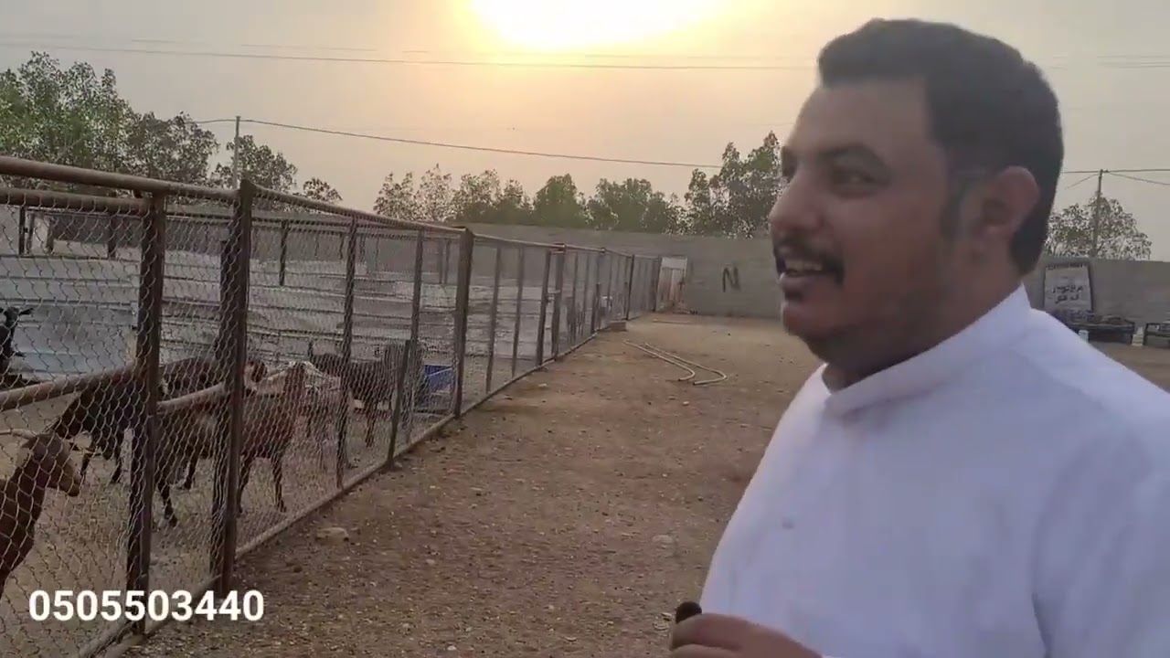 لقائي مع الاستاذ عبدالله الالمعي في قناة مواشي