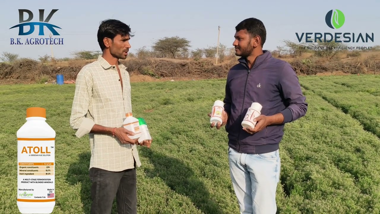 🌿 જીરામાં જોરદાર પરિણામ! 🌿 #Atoll #Meraki #Ortho P #Ortho K #verdesian #jiru  