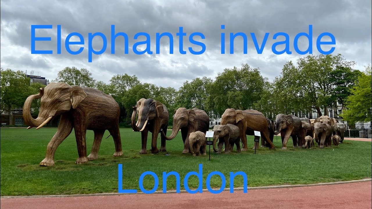 Herd of Asian Elephants invades London
