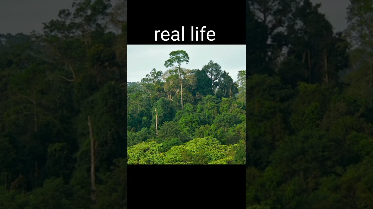 Minecraft vs real life pt.11 BIOMES EDITION 2