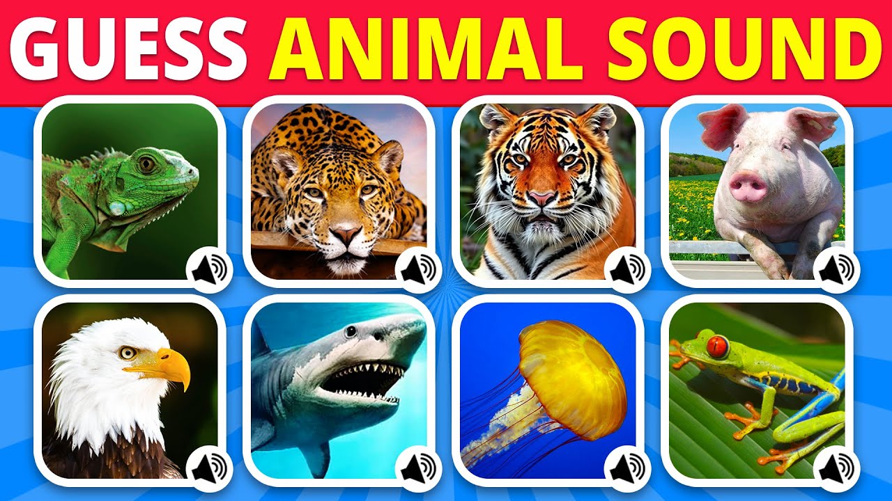 Can You Guess the Animal by the Sound? | Animal Sounds Quiz | Wildlife Trivia