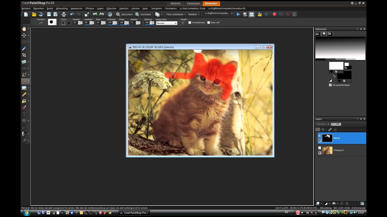 Paint shop pro x4 Les 19 Selecteren met de penseel.wmv