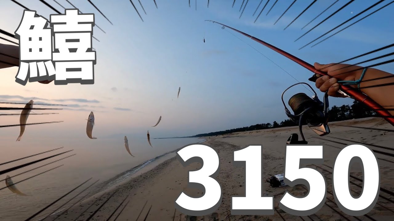 鱚キス釣りの聖地！鳥取県弓ヶ浜で連掛けを満喫〜釣りキチは出張の合間を縫って〜