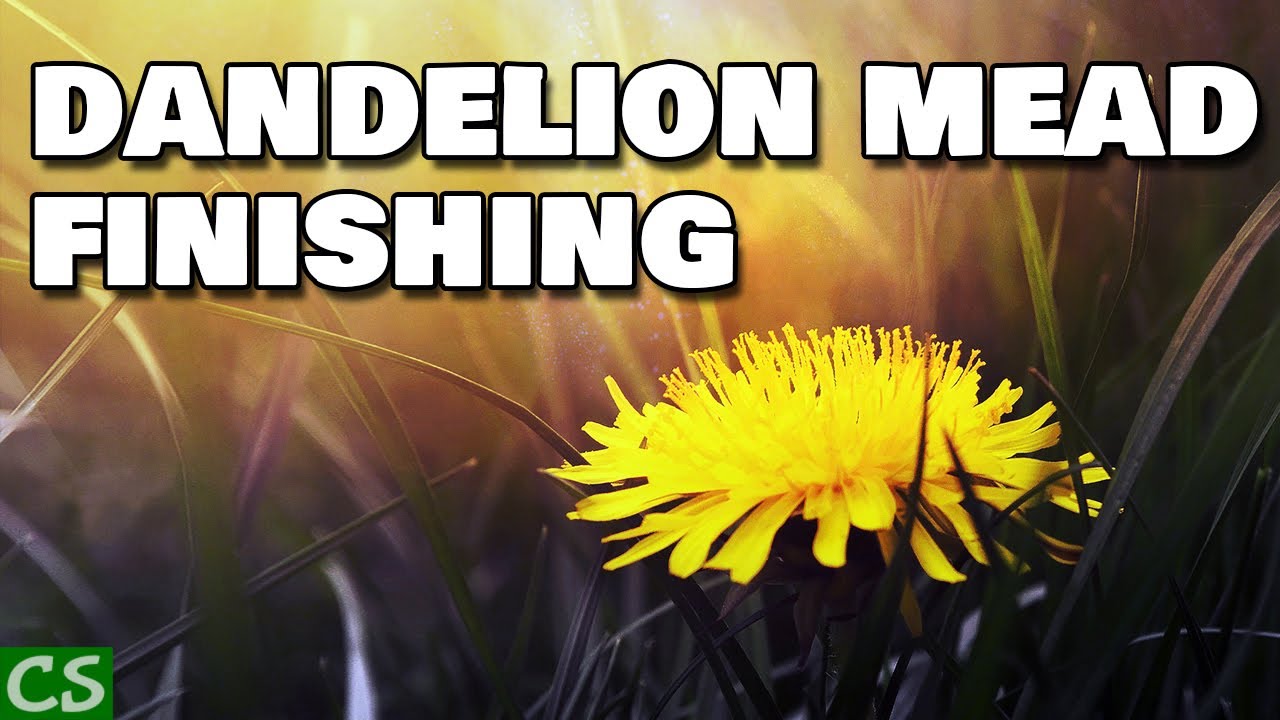 Dandelion Mead Finishing and Bottling