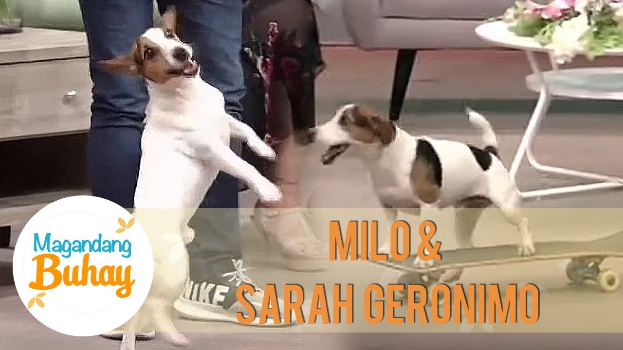 Milo shows off his tricks | Magandang Buhay