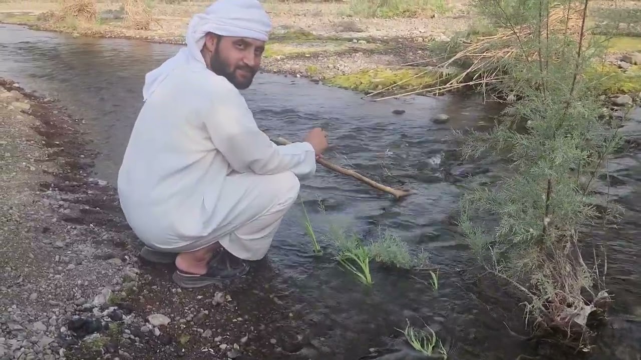 #الامارات #مصفوت #حتا #عجمان #دبي #hatta #uae @bnshubair @binshubair