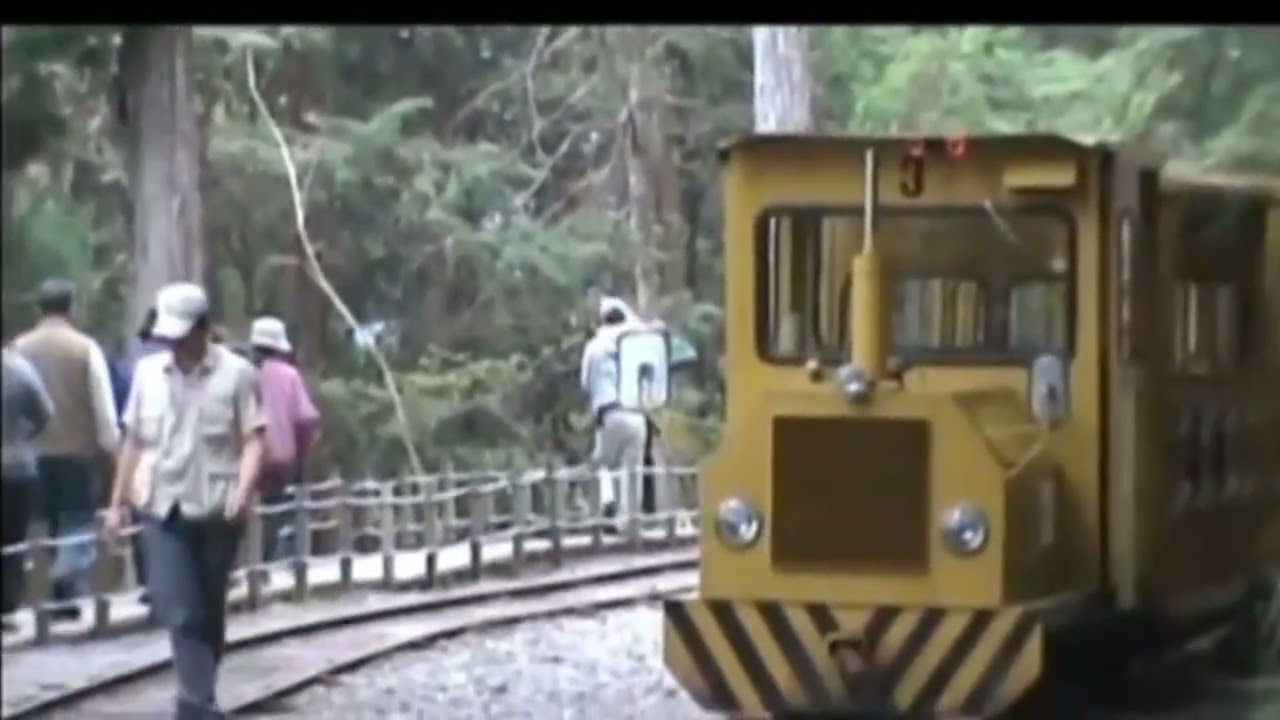 泰安百合隊太平山莊旅 2011