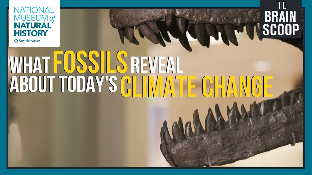 What Fossils Reveal about Today's Climate Change