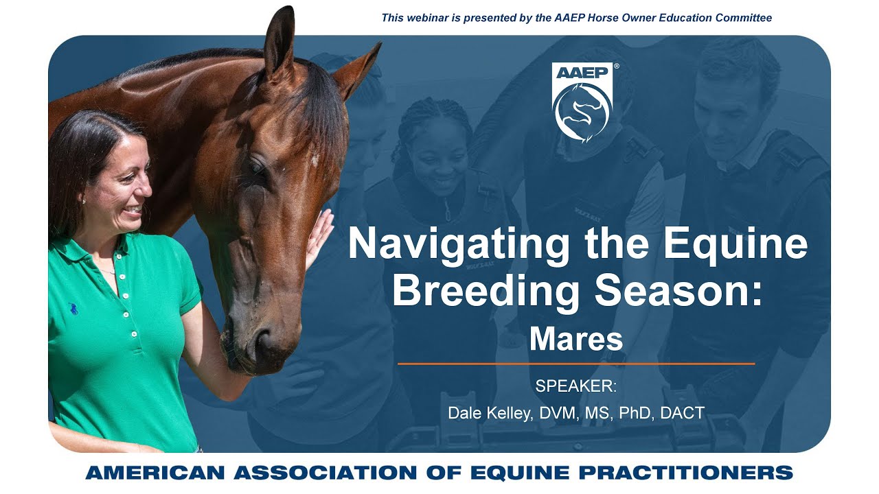 AAEP Presents: Navigating the Equine Breeding Season (Mares)