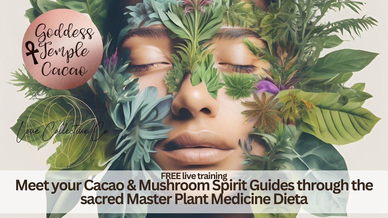Meet your Cacao and Mushroom Plant Spirit Guides