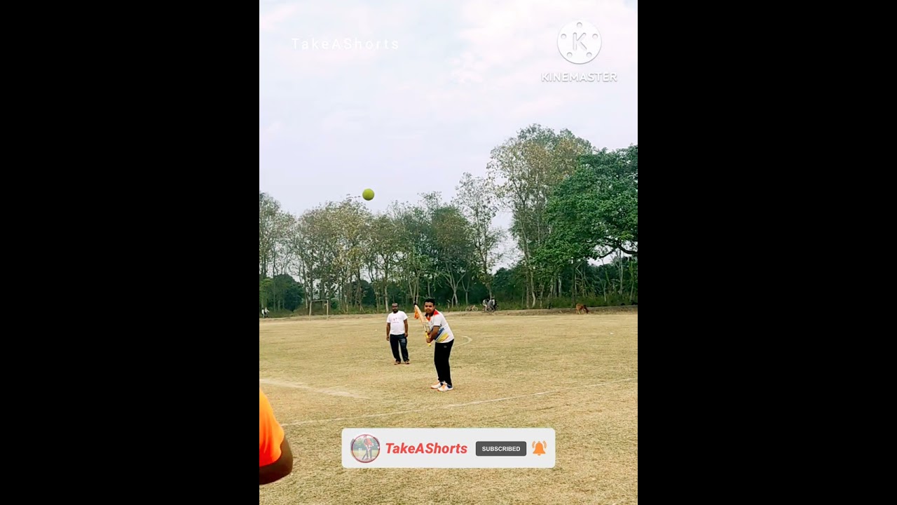 Leg Cutter ball Gripe 🥎🏏#shorts#takeashorts#viral#viralvideo#viralshorts#cricket#trending