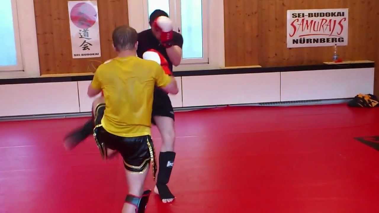 Samurais Nürnberg, Sei Budokai