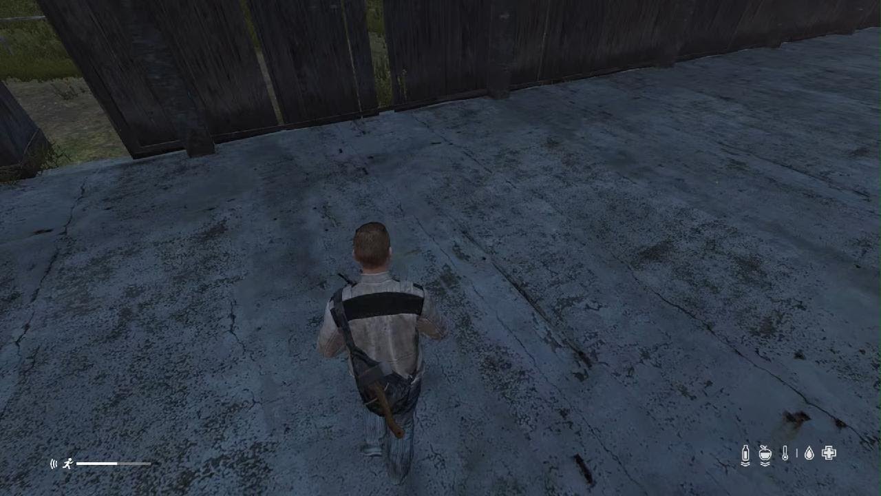 DayZ