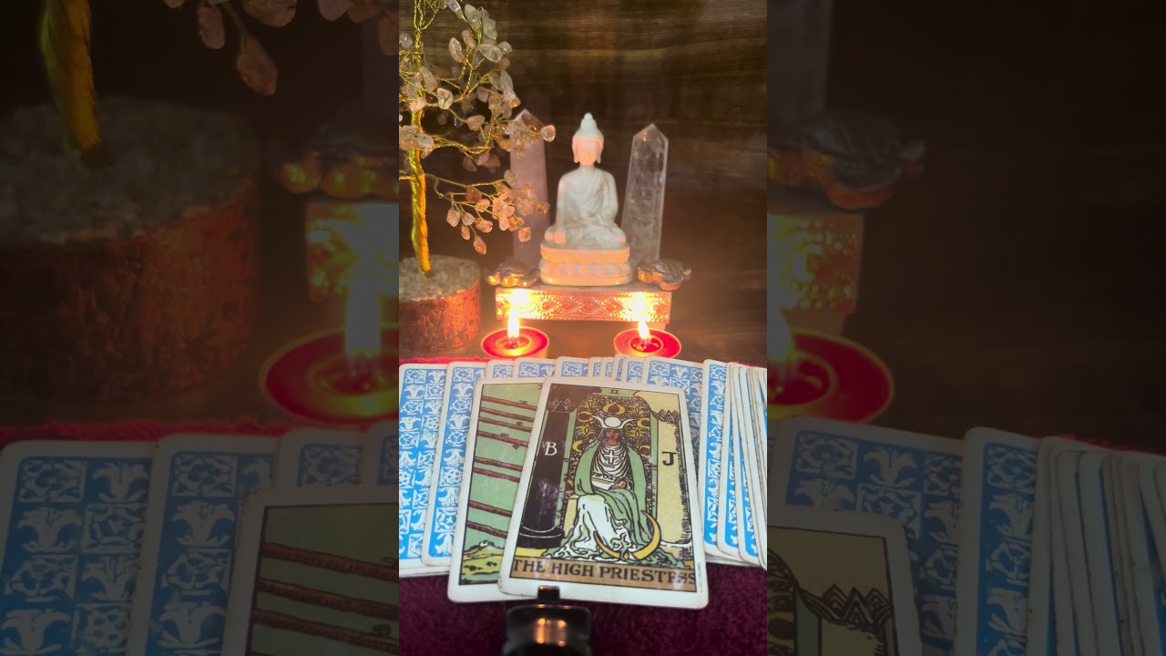Daily prediction ⭐️🦋 #tarot #tarotcaards #dailyprediction #murugan #twinflame