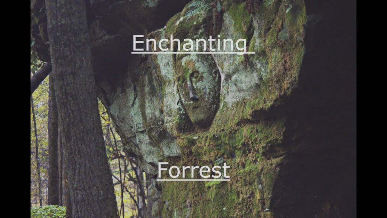 Worden's Ledges- A Fairytale Forrest in Ohio