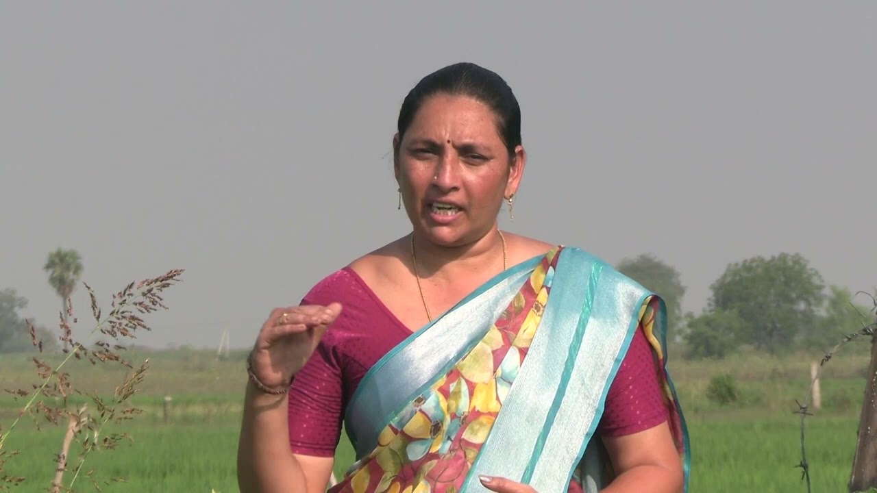 Pree Monsoon Dry Sowing  ద్వారా  భూమిలో  సూష్మజీవుల అభివృద్ధి- మహిళా రైతు కోటేశ్వరమ్మ గారి మాటలలో
