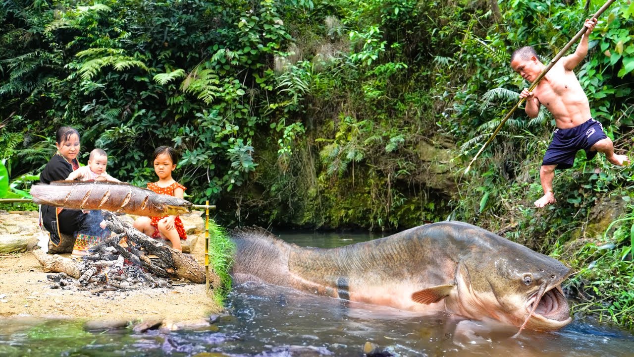 How to Catch Fish and Hunting Giant Catfish in the Wild - Dwarf Family Never Grill a Fish This Big