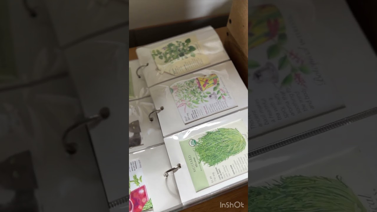 How do you store your seeds? 🌱
