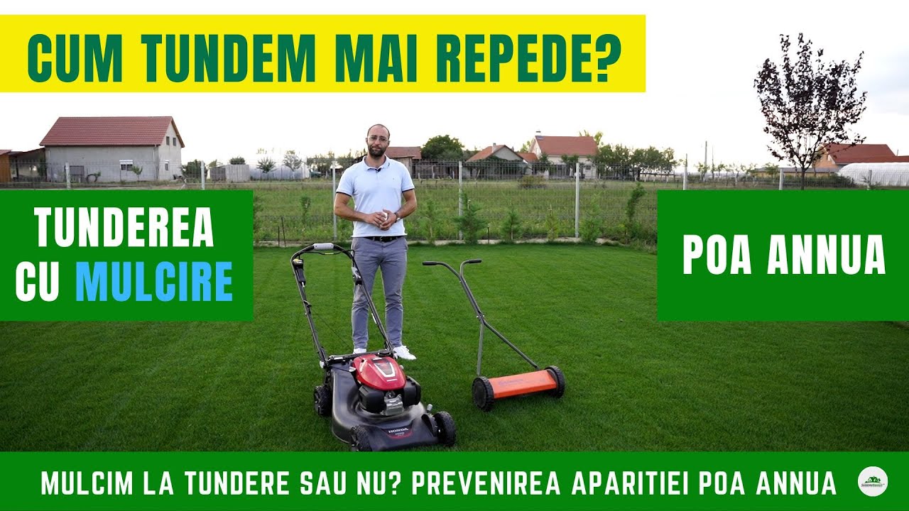 Tunderea cu mulcire a gazonului (inclusiv tunderea cu roboți de tuns).  Poa annua & erbicid.