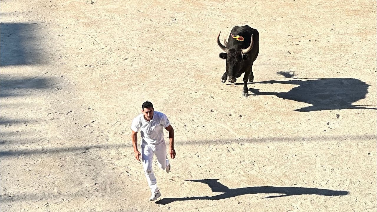 Finale Trophée des As – Arènes d’Arles (74ᵉ édition) | 12 octobre 2025