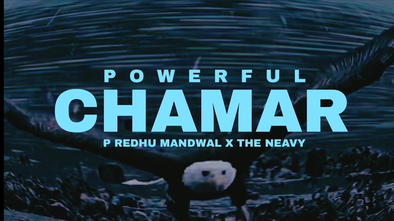 Powerful Chamar (Official Audio) P Redhu Mandwal | The NEAvy | Latest Songs 2024