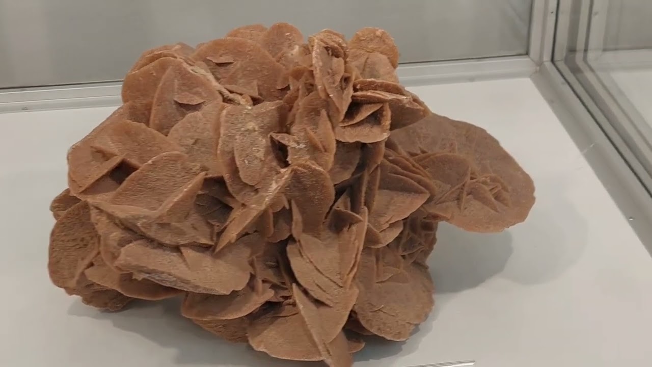 Muzeum Geologiczne w Warszawie