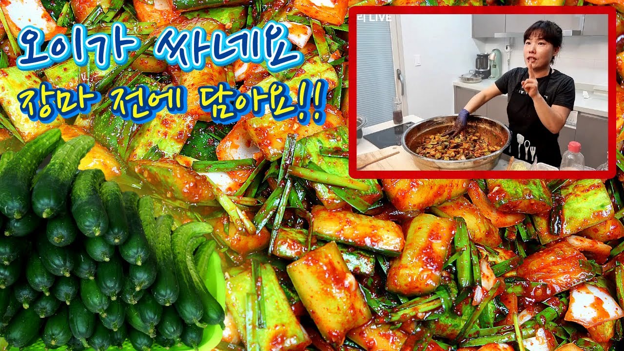 🔴한달동안 3번 담았다는 오이깍두기김치 이렇게 만들어요【아래 
