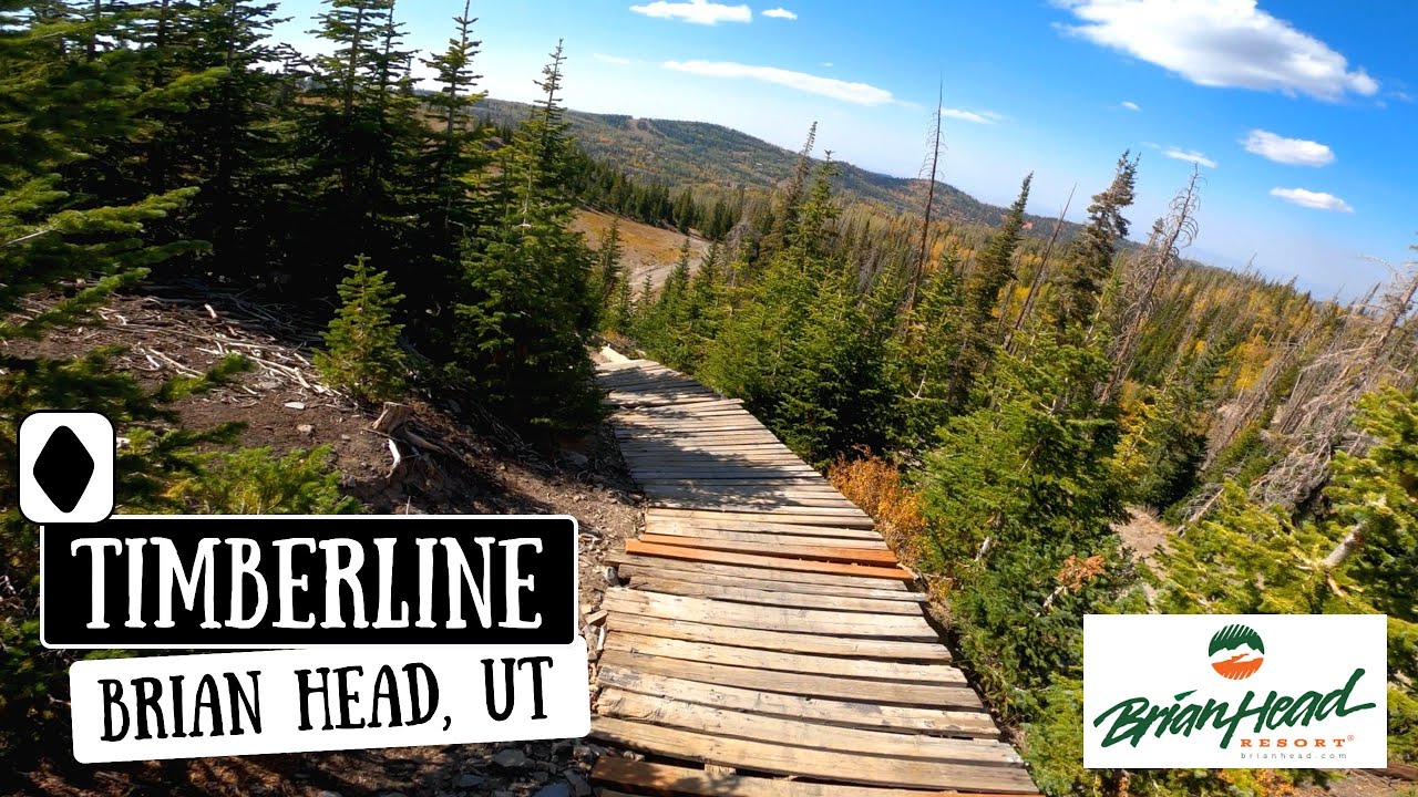 Timberline DH Full Trail POV | Brian Head Bike Park | 4K | 2020