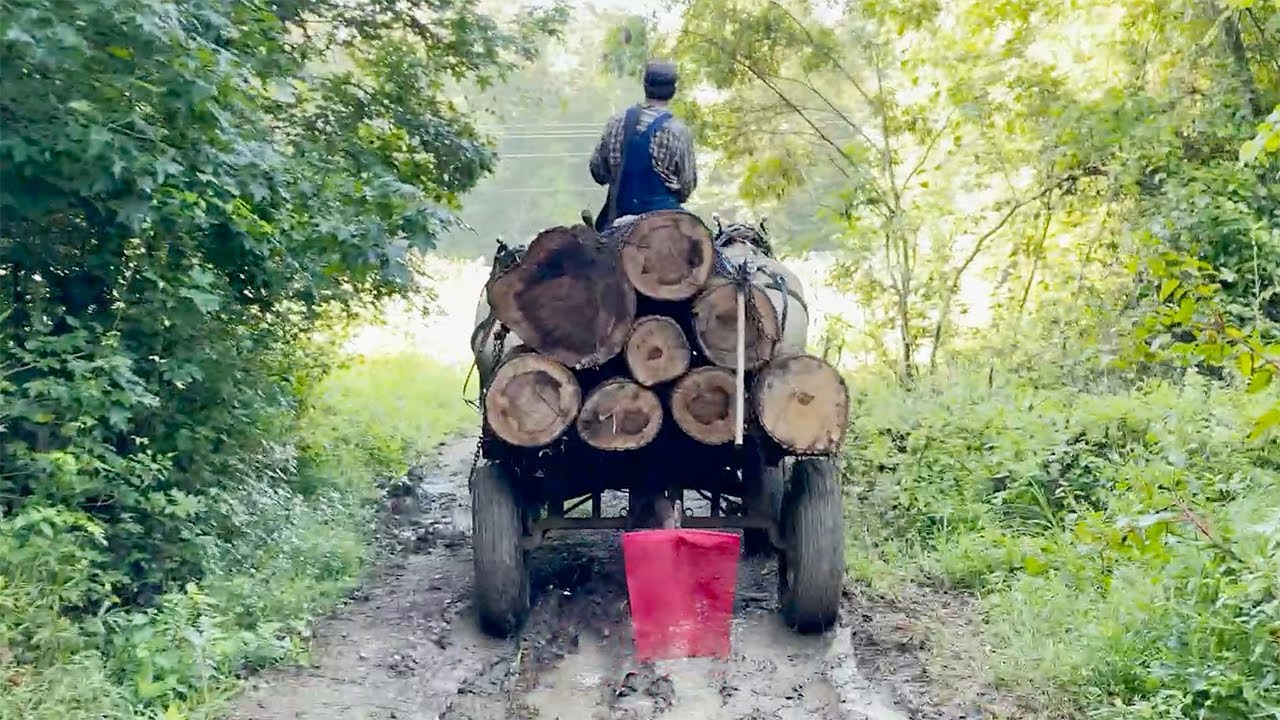 Horse Logging with Jeff Ferge