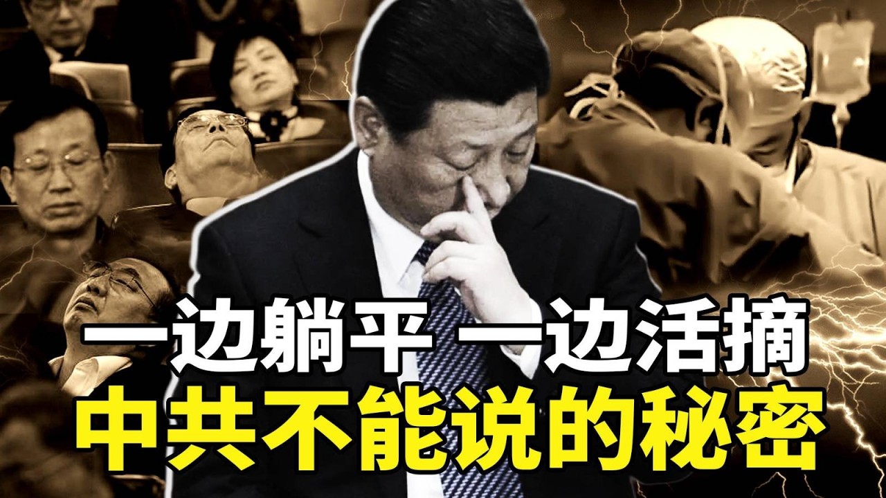 體制內的兩個極端：一邊是「公务员躺平地图」瘋傳，一邊是「活摘器官」暴利！揭開中共官場懶政與按需殺人的殘酷真相，誰在享受，誰在犧牲？