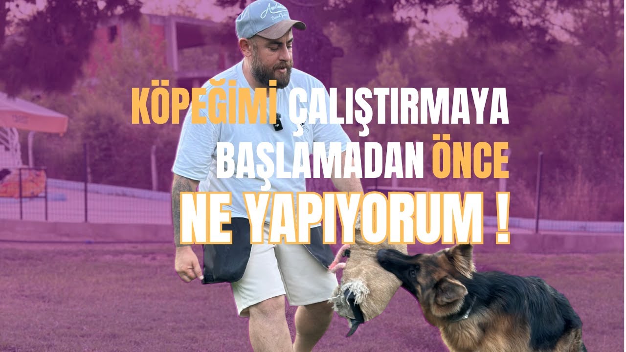 Köpeğini Çalıştırmaya Başlamadan Önce 