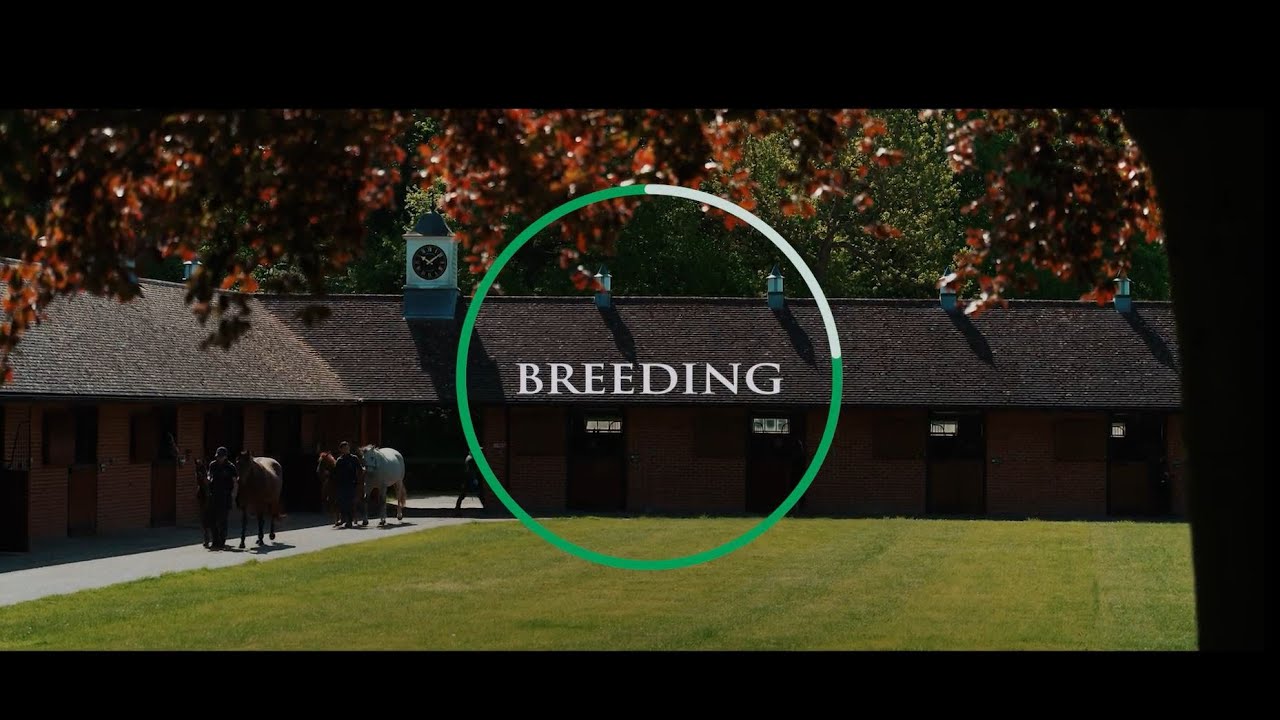 The Juddmonte Cycle - Breeding