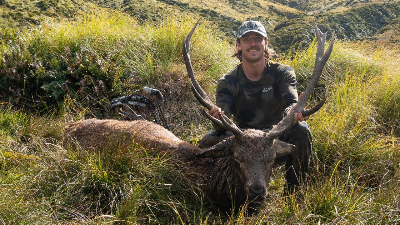 6 Day Solo NZ Bow Hunt | My First Red Stag at 5 Yards !!!