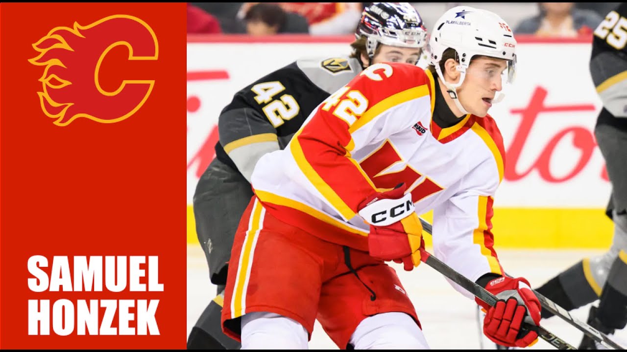 Samuel Honzek | 2024-25 Highlights