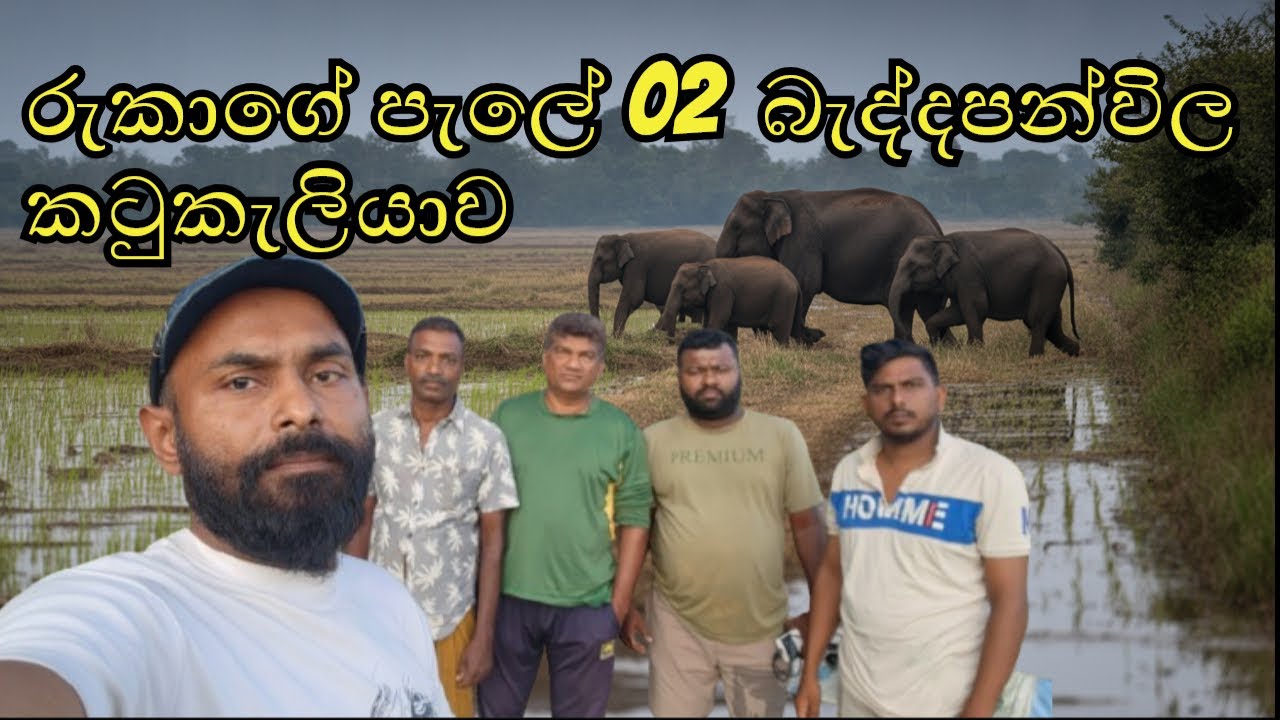 රුකාගේ පැලේ 02  බැද්දපන්විල කටුකැලියාව | Rukage Pele Episode 02