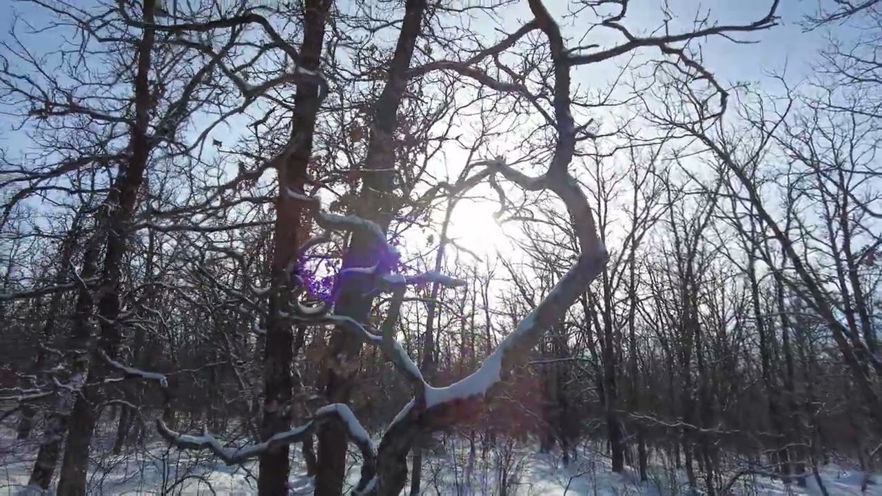 [4K 60fps] The Real Canada: Birds Hill, Manitoba  Minus 17 degrees celsius