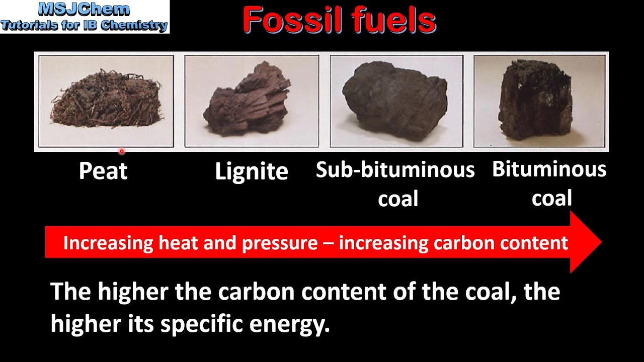 R1.3.3 Formation of fossil fuels